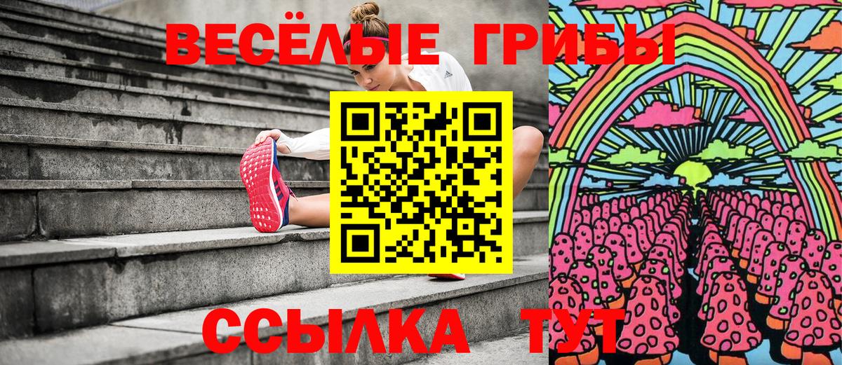 Советская Гавань  Галлюциногенные грибы MAGIC MUSHROOMS  Вход с VPN 
