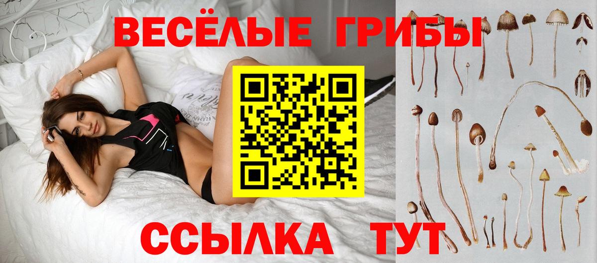  COCAIN Советская Гавань